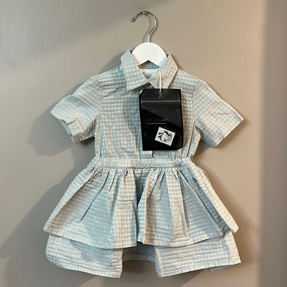 NWT Caroline Bosmans Layered Ruffle Shirt Dress - Picture 1 of 10